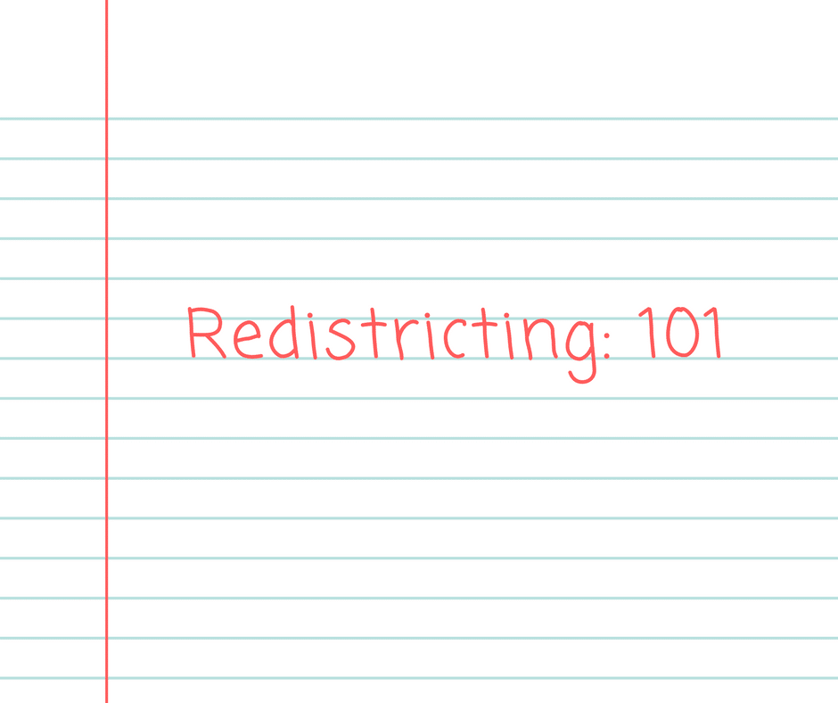 Redistrcting_ 101